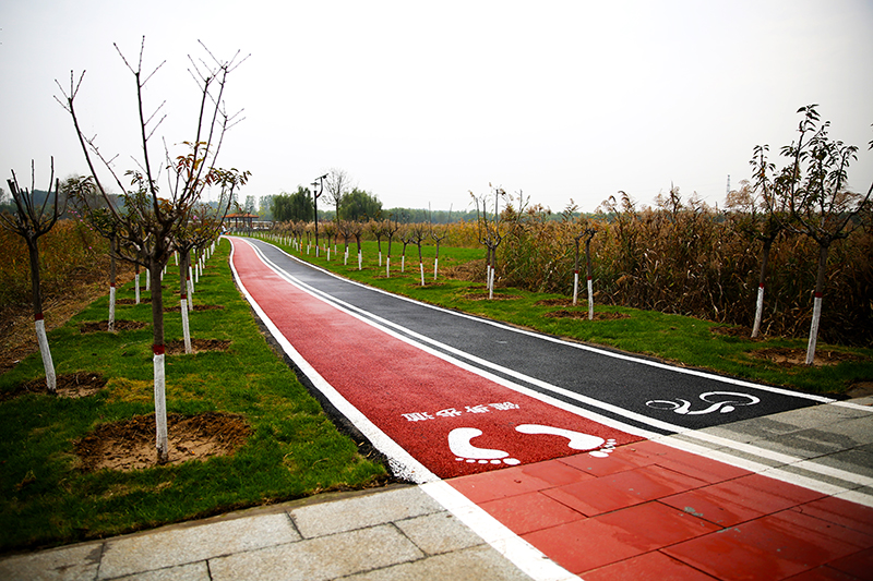 1604049336182780.jpg HW6A2439.jpg